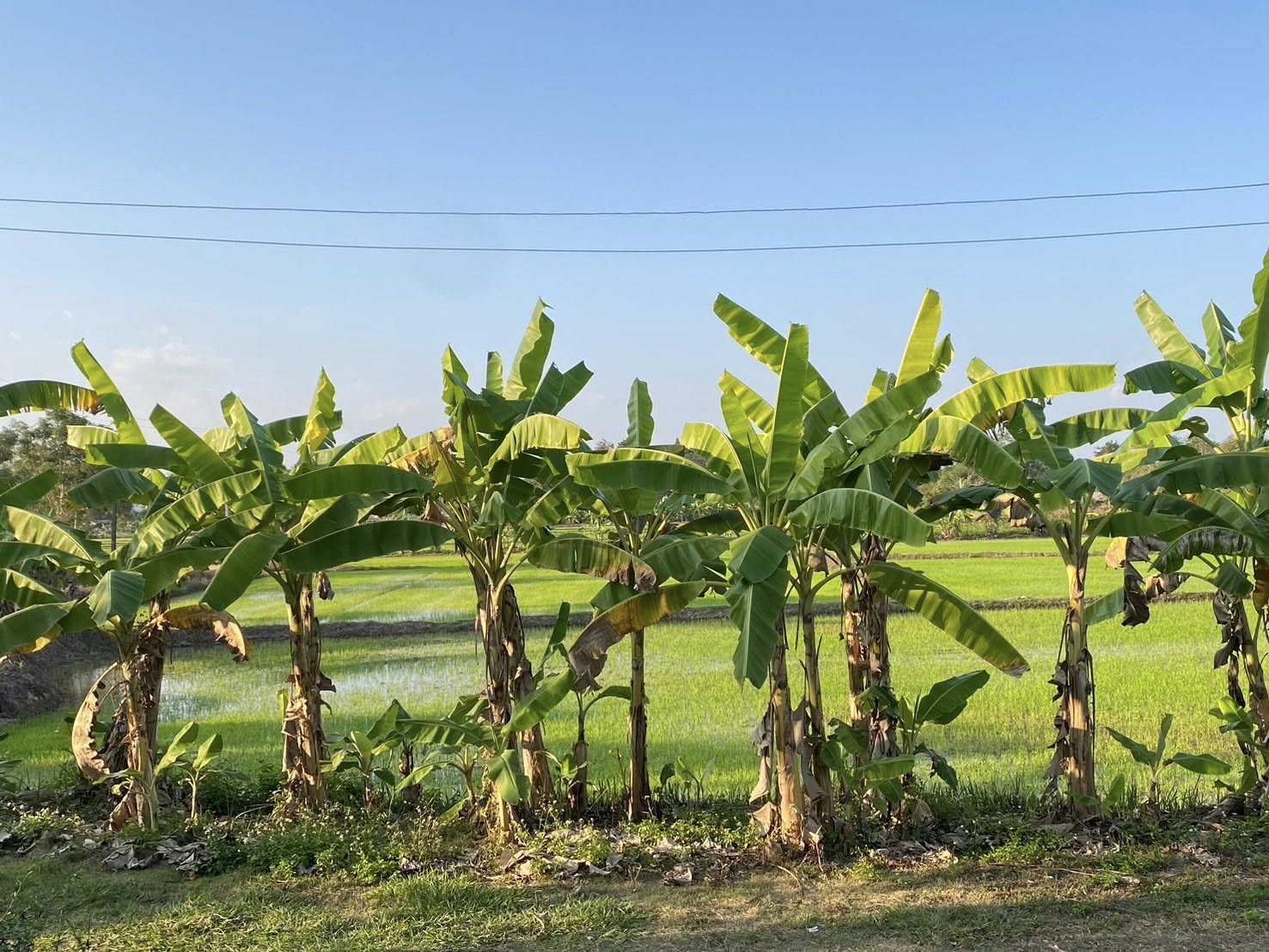 title - หัวหน้าผู้ตรวจราชการ ส.ป.ก. (เขต 3,15 และ 16) ประชุมตรวจติดตามความก้าวหน้าการดำเนินงานตามแผนงานตรวจราชการ ประจําปีงบประมาณ 2569 รอบที่ 1 ณ จังหวัดเชียงราย